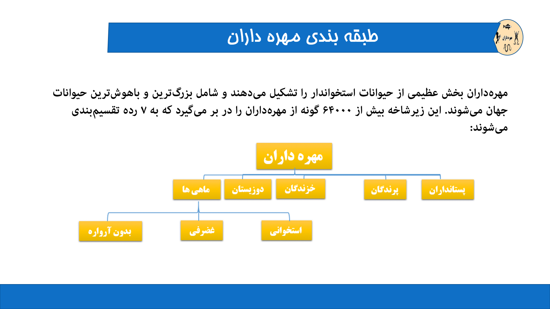 پاورپونیت در مورد مهره داران و تکامل آنها 